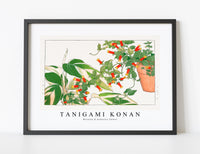 
              Tanigami Konan - Maranta & manettia flower
            