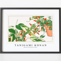 Tanigami Konan - Maranta & manettia flower