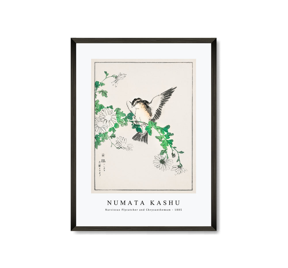 Numata Kashu - Narcissus Flycatcher and Chrysanthemum illustration from Pictorial Monograph of Birds (1885)