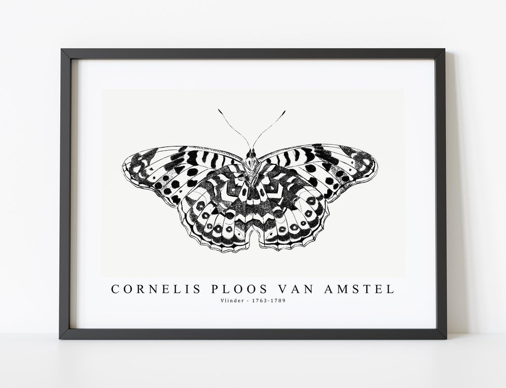 Cornelis ploos van amstel - Vlinder-1763-1789