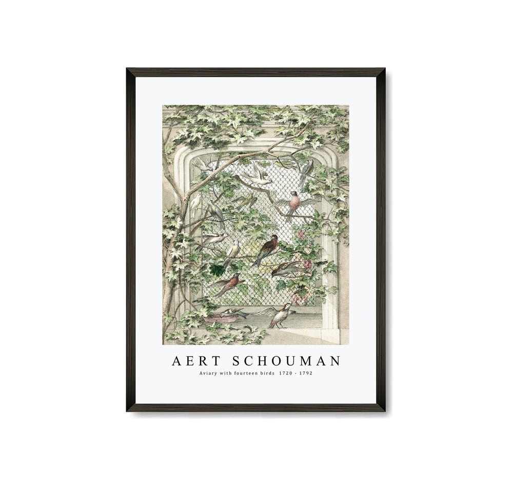 aert schouman - Aviary with fourteen birds -1720-1792