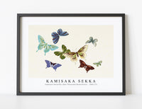 
              Kamisaka Sekka - Japanese butterfly (One Thousand Butterflies) - 1904 (7)
            