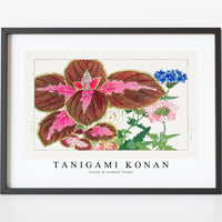 Tanigami Konan - Coleus & verbena flower