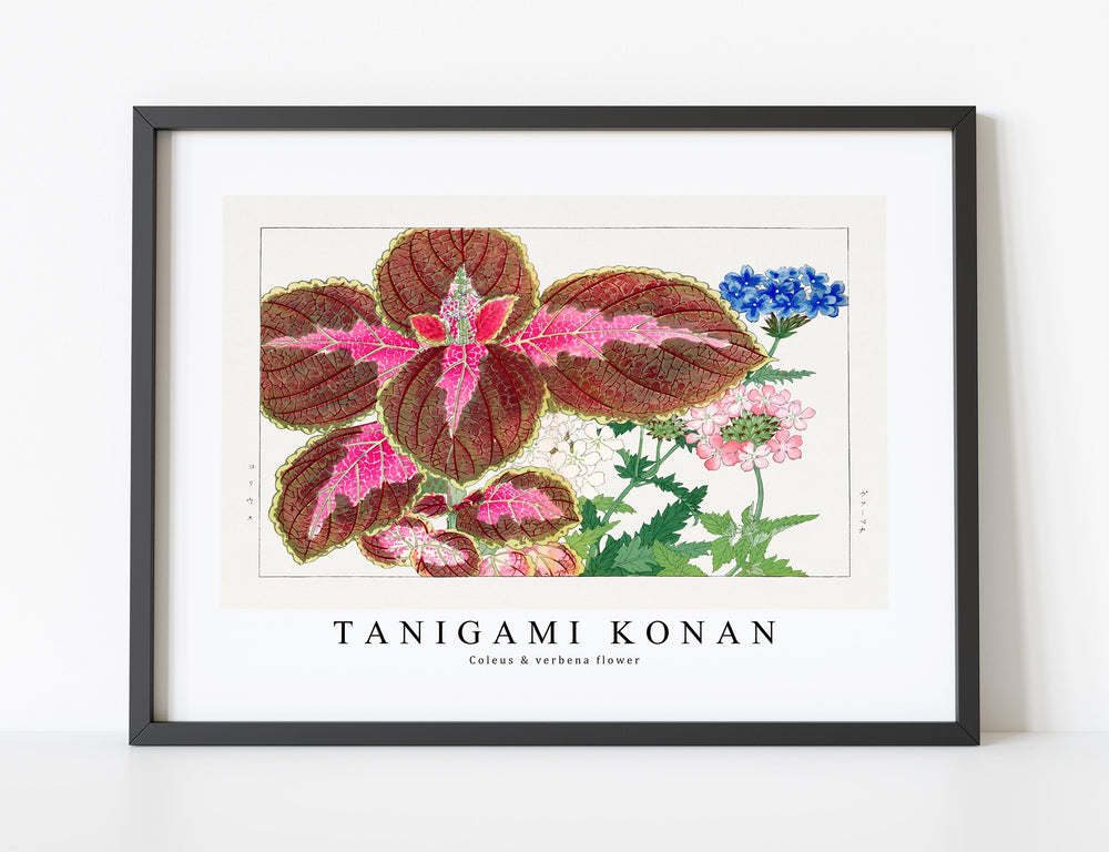 Tanigami Konan - Coleus & verbena flower