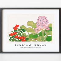 Tanigami Konan - Vintage impatiens & water hyacinth flower