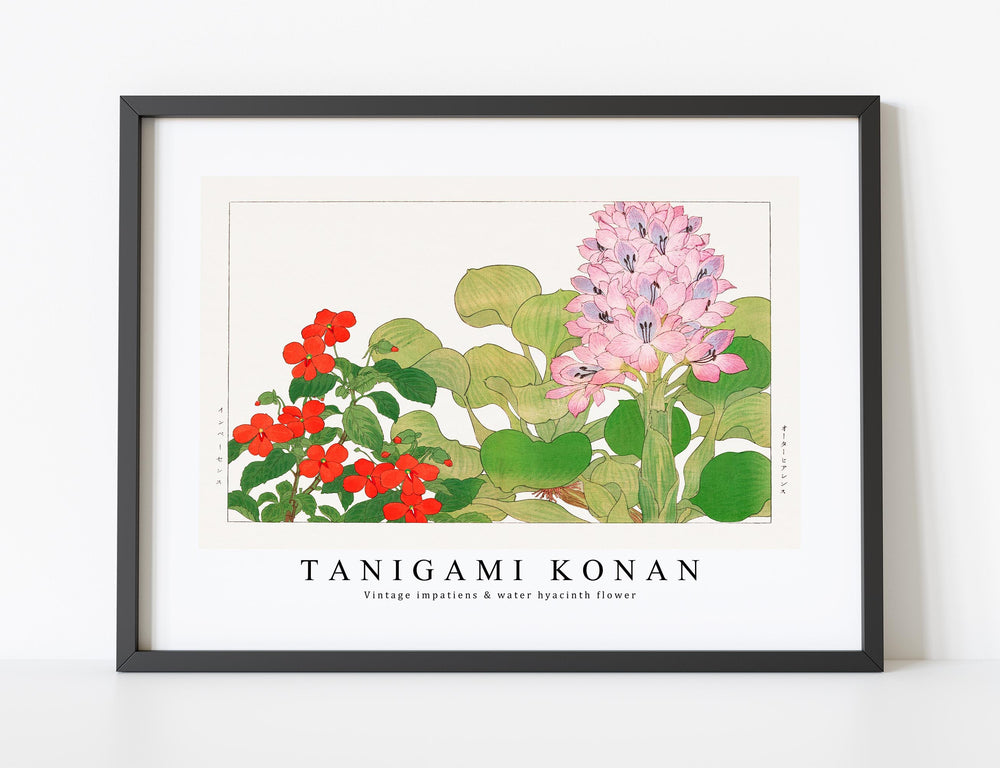 Tanigami Konan - Vintage impatiens & water hyacinth flower