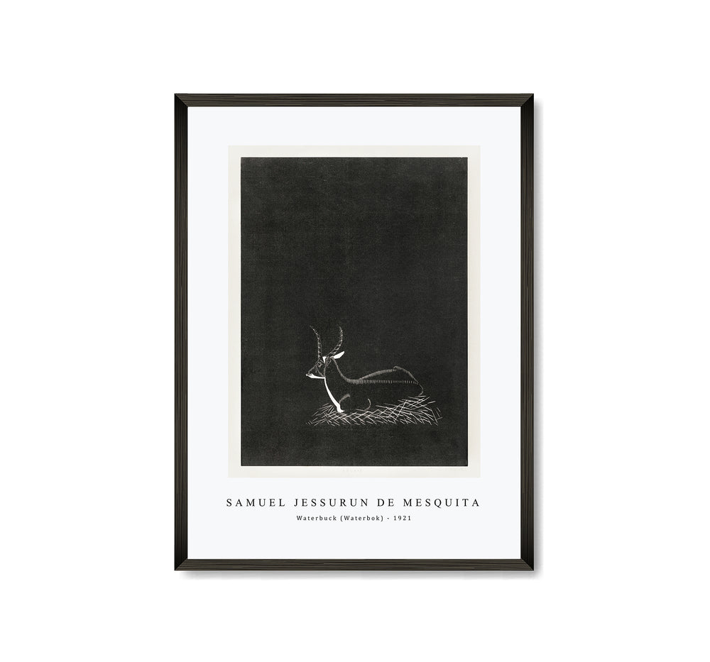 Samuel Jessurun De Mesquita - Waterbuck (Waterbok) (1921)