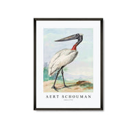 
              Aert chouman - Jabiru-1770
            
