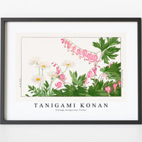 Tanigami Konan - Vintage marguriete flower