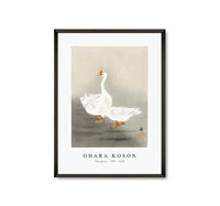 
              Ohara Koson - Two geese (1900 - 1930) by Ohara Koson (1877-1945)
            