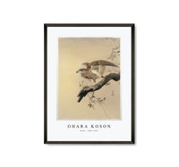 
              Ohara Koson - Hawk (1887-1945) by Ohara Koson (1877-1945)
            