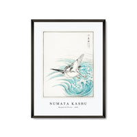 Numata Kashu - Mongolian Plover illustration from Pictorial Monograph of Birds (1885)