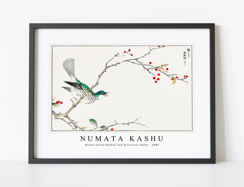 Numata Kashu - Brown-eared Bulbul and Dioecious Holly illustration from Pictorial Monograph of Birds (1885)