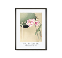 
              Ohara Koson - Songbird and Lotus (1900 - 1936) by Ohara Koson (1877-1945)
            