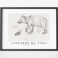 Leonardo Da Vinci - A Bear Walking 1482-1485