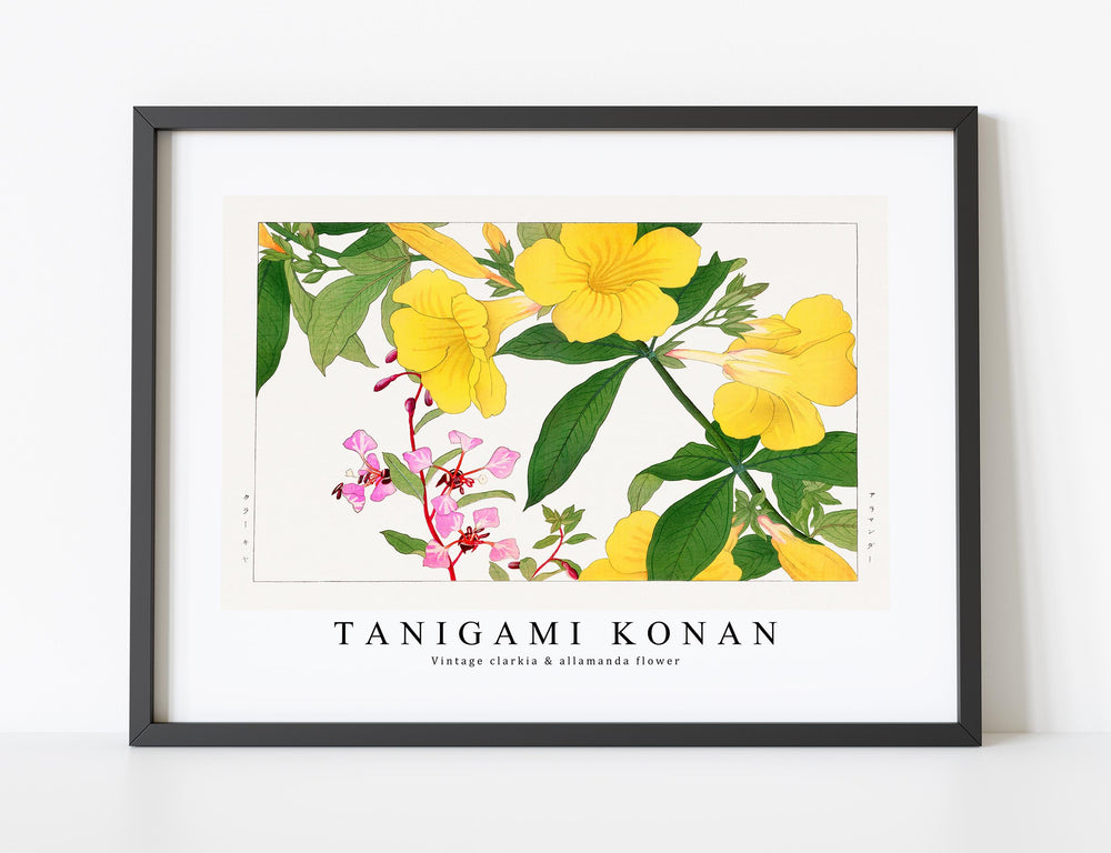 Tanigami Konan - Vintage clarkia & allamanda flower