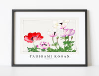 
              Tanigami Konan - Poppy flower
            