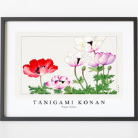 Tanigami Konan - Poppy flower