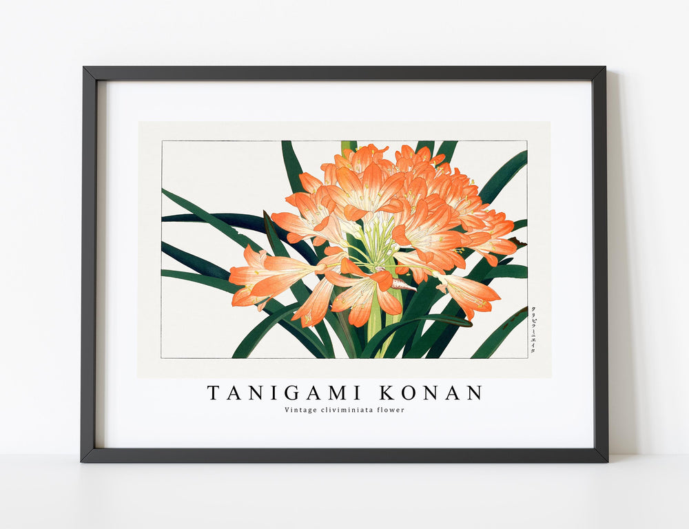 Tanigami Konan - Vintage cliviminiata flower