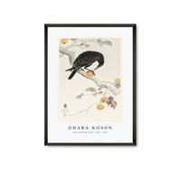 
              Ohara Koson - Crow with kaki fruit (1900 - 1910) by Ohara Koson (1877-1945)
            