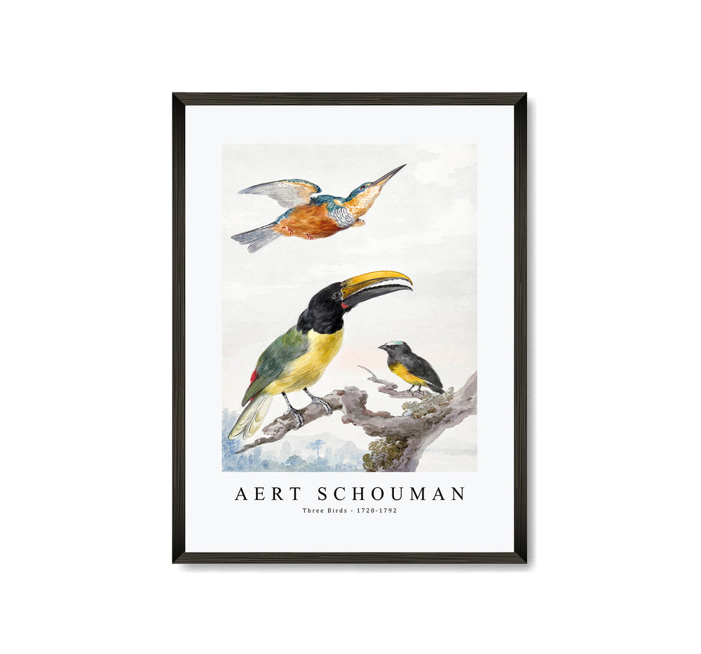 Aert schouman - Three Birds-1720-1792