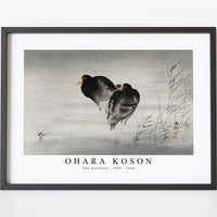 Ohara Koson - Two moorhens (1900 - 1930) by Ohara Koson (1877-1945)