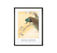 
              Ohara Koson - Peacock on a cherry blossom tree (1900-1930)
            