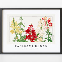 Tanigami Konan - Vintage antirrhinum flower