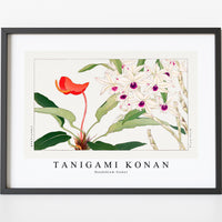 Tanigami Konan - Dendobium flower