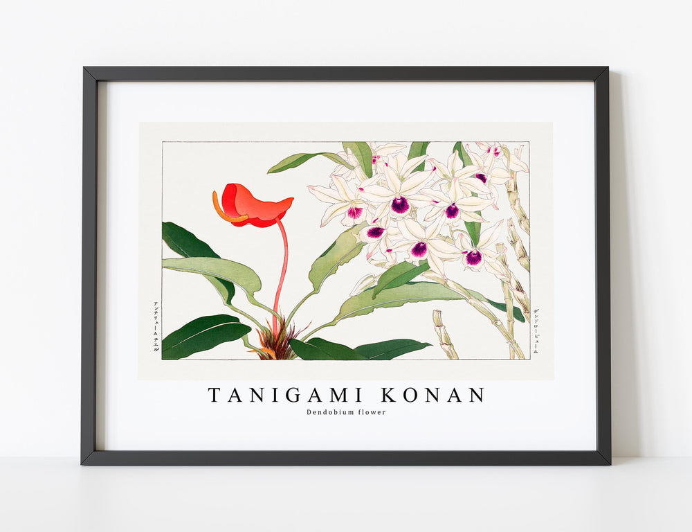 Tanigami Konan - Dendobium flower