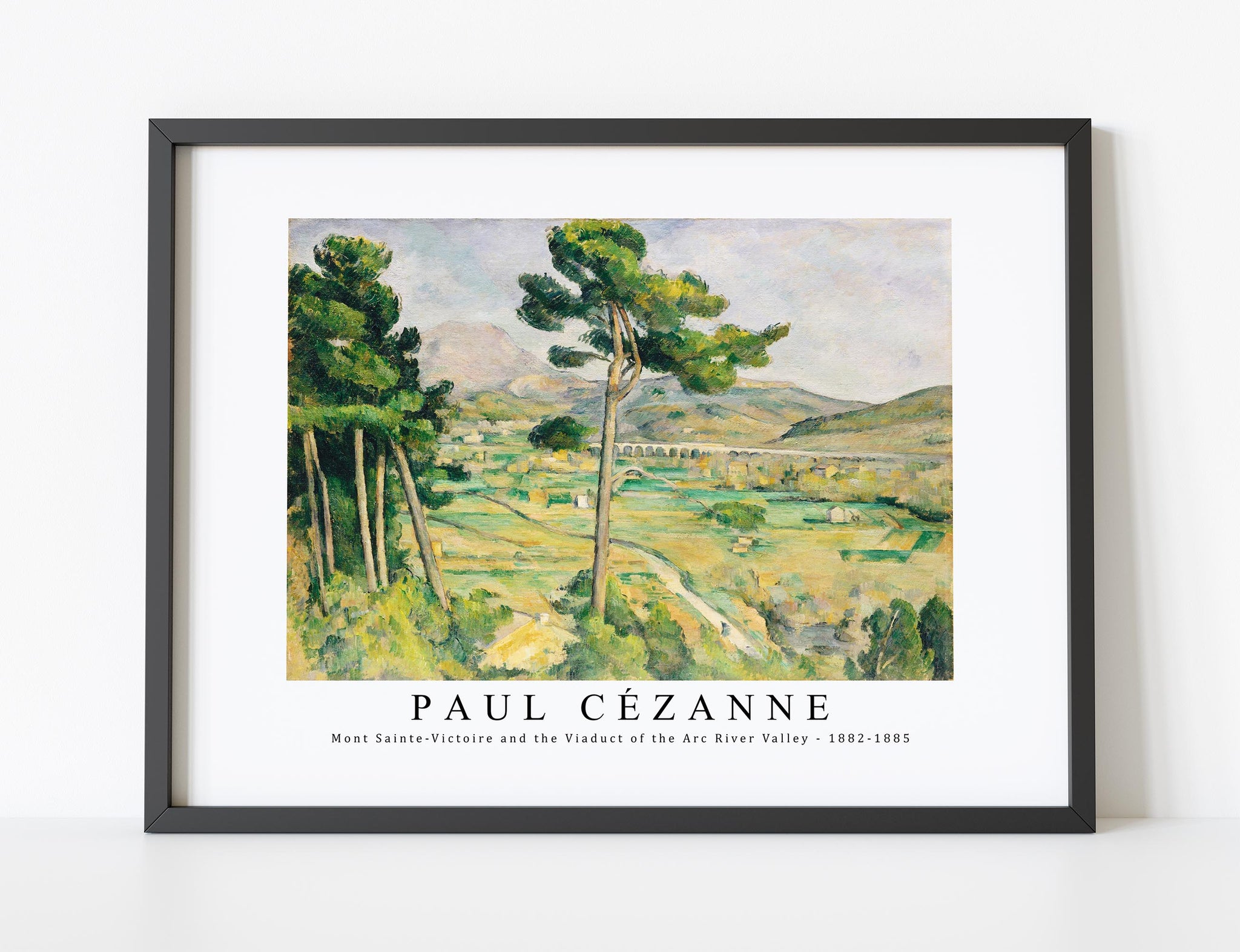 Cézanne von Lionello Venturi, Skira 1978 (Gebraucht) in Zollikerberg