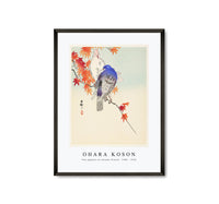 
              Ohara Koson - Two pigeons on autumn branch (1900 - 1936) by Ohara Koson (1877-1945)
            