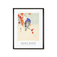 Ohara Koson - Two pigeons on autumn branch (1900 - 1936) by Ohara Koson (1877-1945)