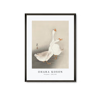 
              Ohara Koson - Two geese (1900-1930) by Ohara Koson (1877-1945)
            