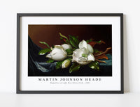 
              Martin Johnson Heade - Magnolias on Light Blue Velvet Cloth (ca. 1885)
            