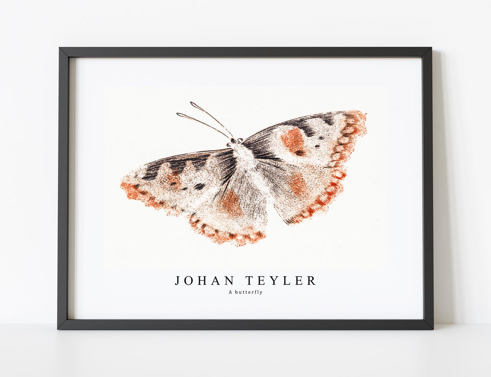 Johan Teyler - A butterfly