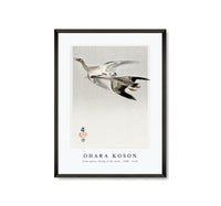 
              Ohara Koson - Great geese, flying in the snow (1900 - 1910) by Ohara Koson (1877-1945)
            