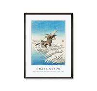 
              Ohara Koson - Pair of ducks flying over snowy reed collar (1900 - 1945) by Ohara Koson (1877-1945)
            