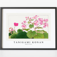 Tanigami Konan - Begonia flower