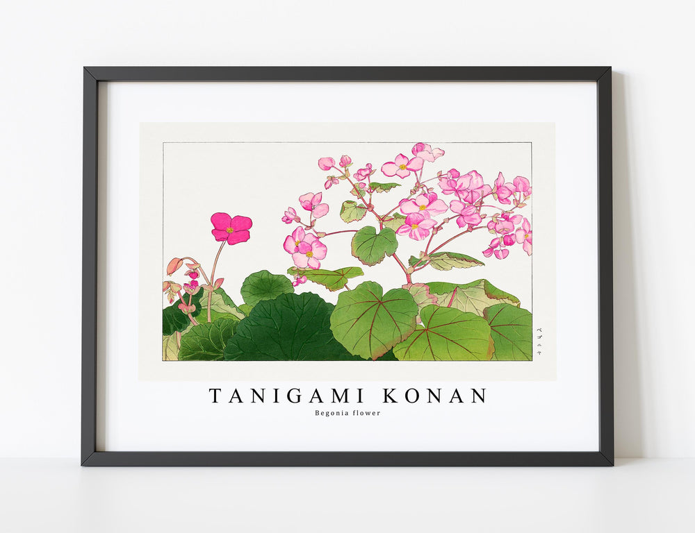 Tanigami Konan - Begonia flower