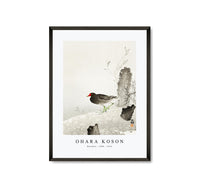 
              Ohara Koson - Moorhen (1900 - 1936) by Ohara Koson (1877-1945)
            