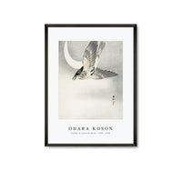 
              Ohara Koson - Cuckoo at crescent moon (1900 - 1930) by Ohara Koson (1877-1945)
            