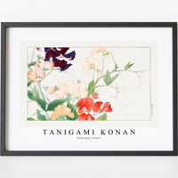 Tanigami Konan - Sweetpea flower