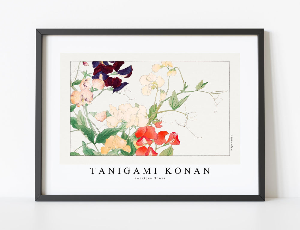 Tanigami Konan - Sweetpea flower