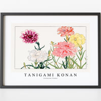 Tanigami Konan - Carnation flower