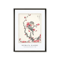Numata Kashu - Pine Bunting and Plum Tree illustration from Pictorial Monograph of Birds