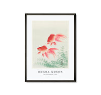 
              Ohara Koson - Two veil goldfish (1926) by Ohara Koson (1877-1945)
            