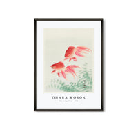 
              Ohara Koson - Two veil goldfish (1926) by Ohara Koson (1877-1945)
            