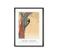
              Ohara Koson - Great spotted woodpecker in tree with red ivy (1925 - 1936)
            