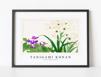 
              Tanigami Konan - Violet & Scilla flower
            